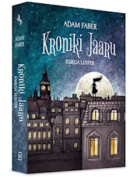 Księga luster - Adam Faber - książka