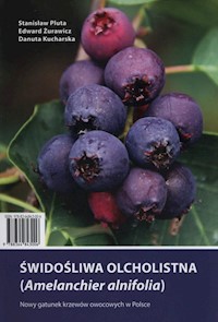 Świdośliwa olcholistna - Pluta Stanisław, Żurawicz Edward, Kucharska Danuta - książka