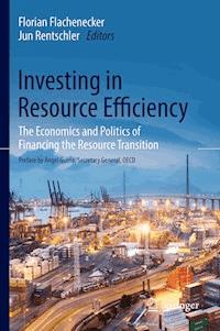 Investing in Resource Efficiency -  - ebook