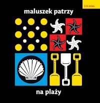 Maluszek patrzy Na plaży - Picthall Chez - książka