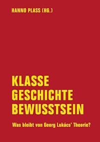 Klasse, Geschichte, Bewusstsein - Frank Engster - ebook