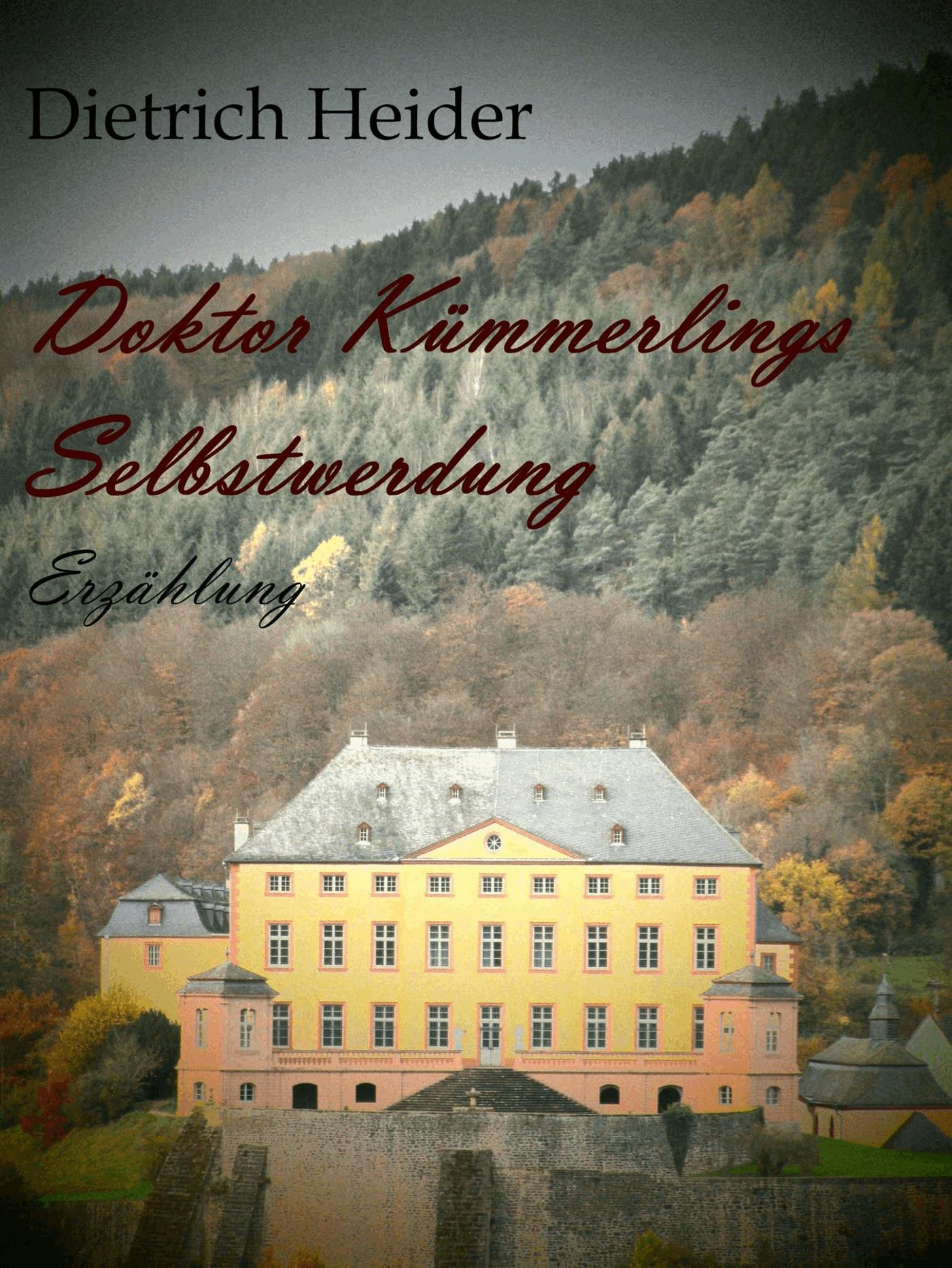 Doktor Kümmerlings Selbstwerdung