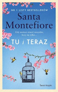 Tu i teraz - Santa Montefiore - ebook + książka