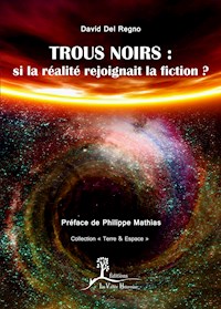 Trous noirs : si la réalité rejoignait la fiction ? - David Del Regno - ebook