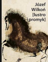Józef Wilkoń [lustro i promyk] - Górski Janusz, Józef Wilkoń - książka