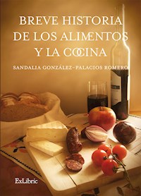 Breve historia de los alimentos y la cocina - Sandalia González-Palacios Romero - ebook