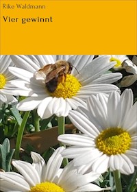Vier gewinnt - Rike Waldmann - ebook