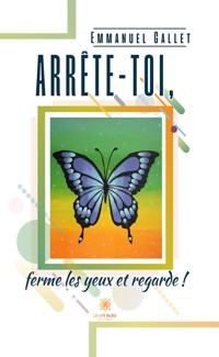 Arrête-toi, ferme les yeux et regarde ! - Emmanuel Gallet - ebook