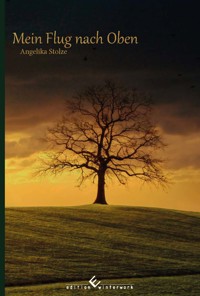 Mein Flug nach oben - Angelika Stolze - ebook