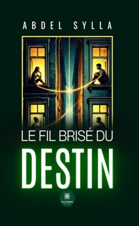 Le fil brisé du destin - Abdel Sylla - ebook