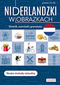 Niderlandzki w obrazkach - - książka