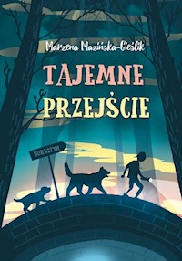 Tajemne przejście - Cieślik Mazińska Marzena - książka
