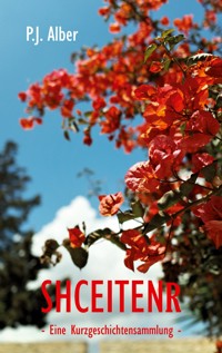 Shceitenr - P.J. Alber - ebook