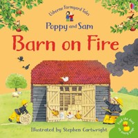 Farmyard Tales Stories Barn on Fire - Amery Heather - książka