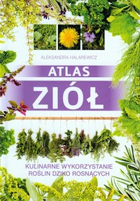 Atlas ziół - Aleksandra Halarewicz - książka