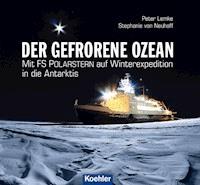 Der gefrorene Ozean - Peter Lemke - ebook