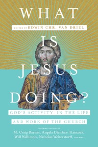 What Is Jesus Doing? -  - ebook