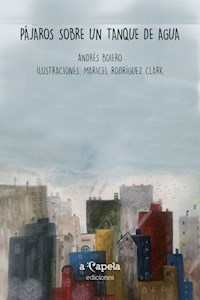 Pájaros sobre un tanque de agua - Andrés Boiero - ebook