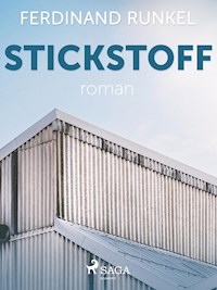 Stickstoff - Ferdinand Runkel - ebook