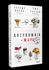Grzybownik - Kołek Justyn, Furtak Ewa - książka