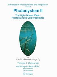 Photosystem II -  - ebook