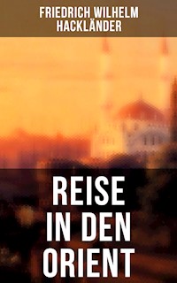 Reise in den Orient - Friedrich Wilhelm Hackländer - ebook
