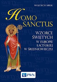 Homo sanctus - Mruk Wojciech - książka