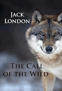 The Call of the Wild - Jack London - ebook