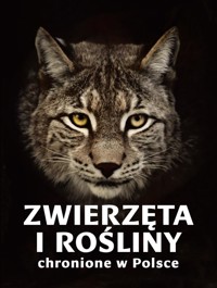 Zwierzęta i rośliny chronione w Polsce - Izabella Sieńko-Holewa, Sylwia Weber - książka