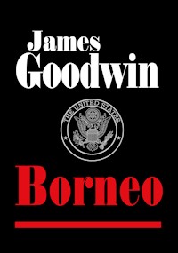Zielone Berety - Goodwin James - ebook