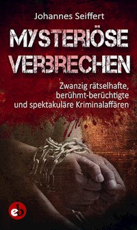 Mysteriöse Verbrechen - Johannes Seiffert - ebook
