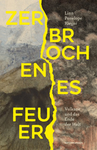 Zerbrochenes Feuer - Linn Penelope Rieger - ebook