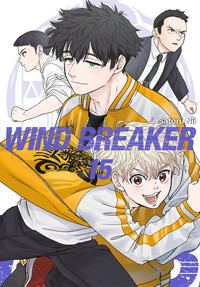 Wind Breaker #15 - Satoru Nii - książka