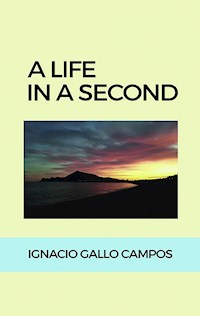 A life in a second - Ignacio Gallo Campos - ebook