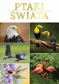 Ptaki świata -  - książka