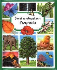 Świat w obrazkach. Przyroda - Marie-Christine Lemayeur (ilustr.), Emilie Beaumont, Bernard Alunni (ilustr.), Marie-Renee Guilloret - książka