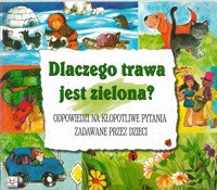 Dlaczego trawa jest zielona? Odpowiedzi na kłopotliwe pytania zadawane przez dzieci - Podgórska Anna - ebook