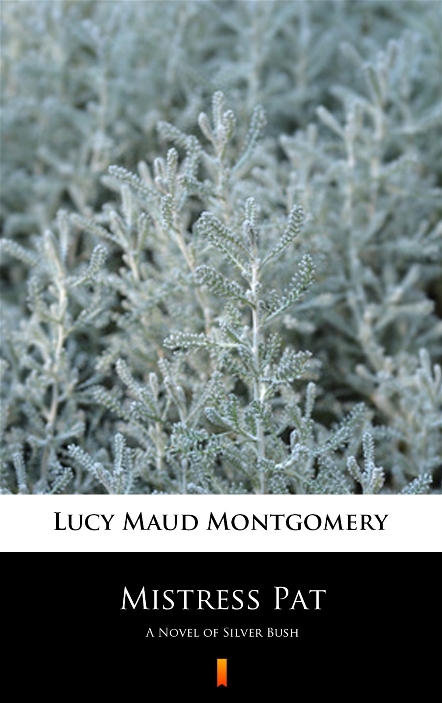 Mistress Pat. A Novel of Silver Bush