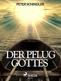 Der Pflug Gottes - Peter Schindler - ebook