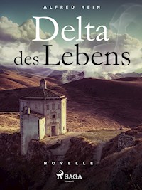 Delta des Lebens - Alfred Hein - ebook