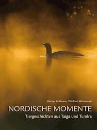Nordische Momente - Werner Bollmann - ebook