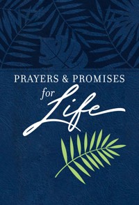 Prayers & Promises for Life - BroadStreet Publishing Group LLC - ebook