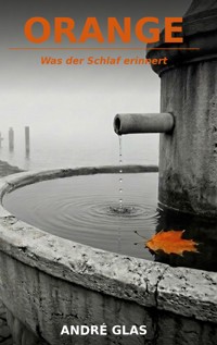 ORANGE - André Glas - ebook