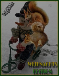 WEIHNACHTS--EDITION--2017 - RAYMONDi - ebook