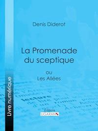 La Promenade du sceptique - Ligaran - ebook