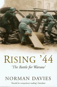 Rising 44 - Davies Norman - książka