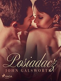 Posiadacz - John Galsworthy - ebook