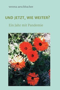 UND JETZT, WIE WEITER? - verena aeschbacher - ebook