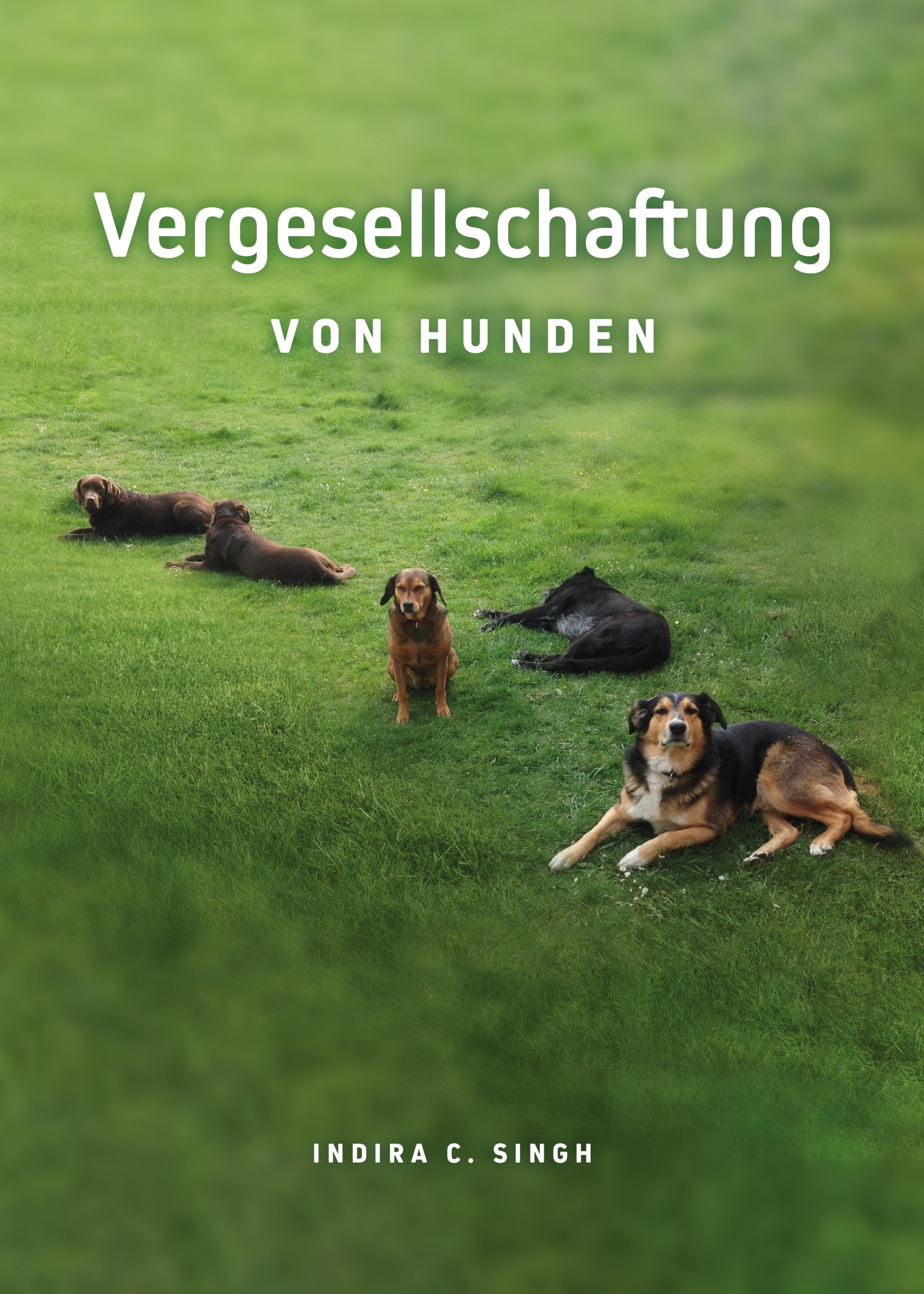 Vergesellschaftung von Hunden