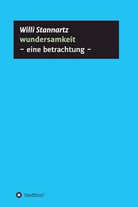wundersamkeit - Willi Stannartz - ebook
